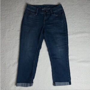 The Limited Crop 312 Denim Jeans  Comfy Size 2